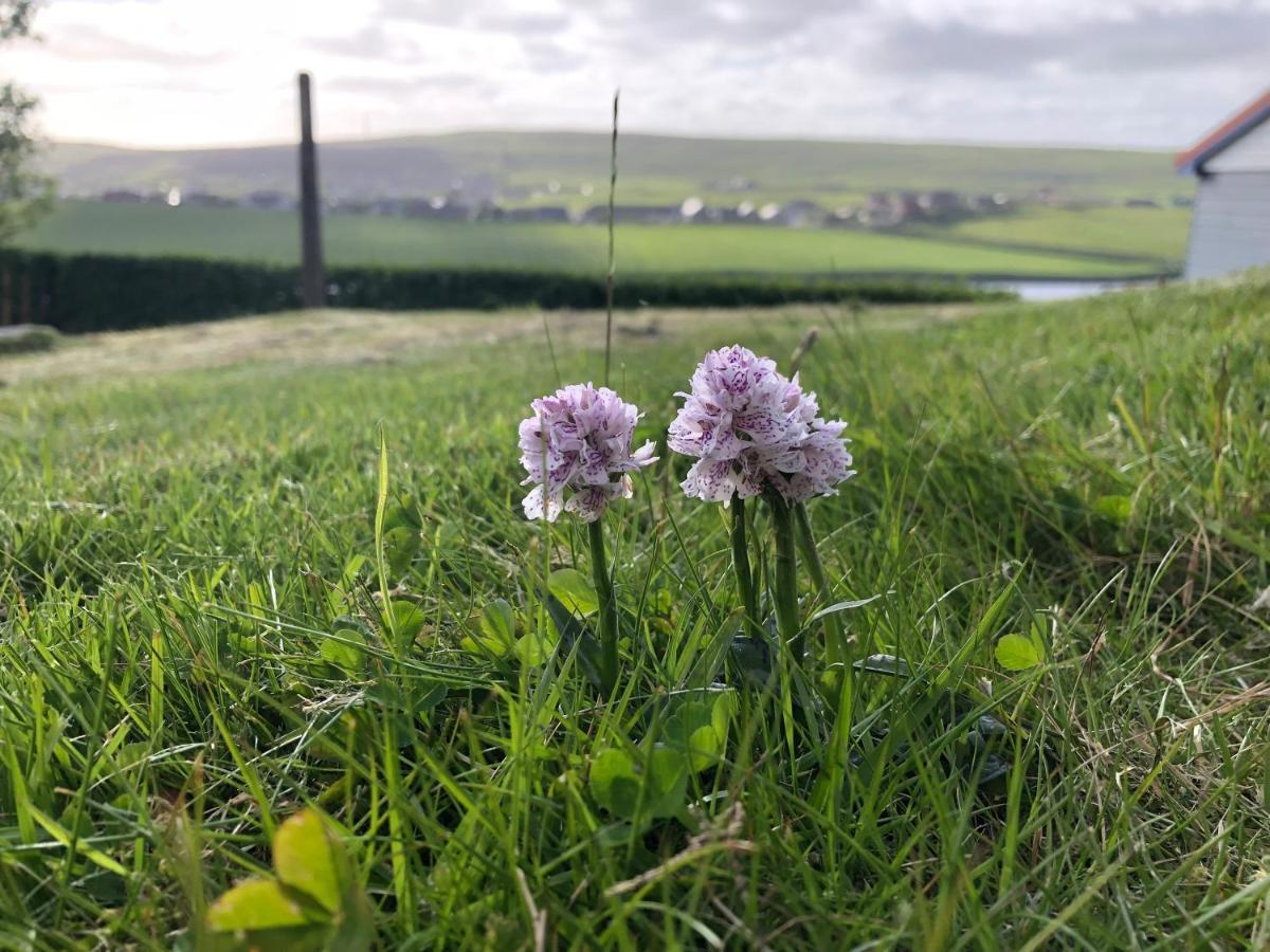 Easterhoull Chalets Scalloway Buitenkant foto